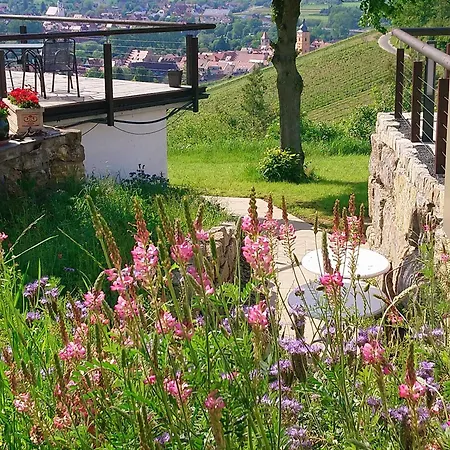 Kirschberghof Gaestehaus Und Weinverkauf Guest house 3*