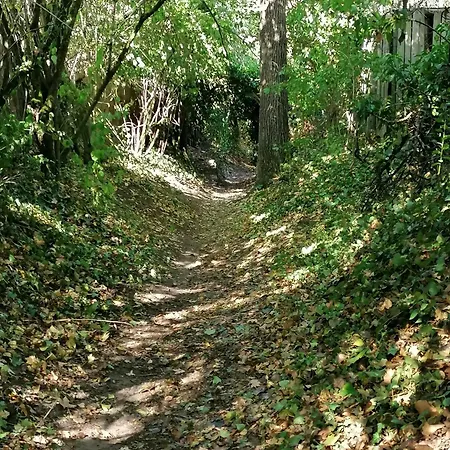 Kirschberghof Gaestehaus Und Weinverkauf בית הארחה 3*