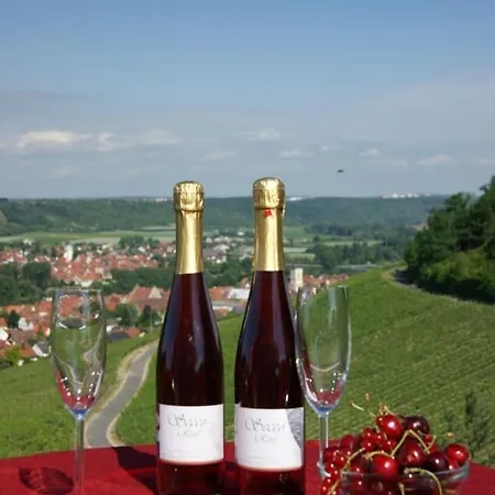 Kirschberghof Gaestehaus Und Weinverkauf Sommerhausen