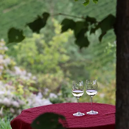 Penzion Kirschberghof Gaestehaus Und Weinverkauf Sommerhausen